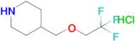 4-[(2,2,2-trifluoroethoxy)methyl]piperidine hydrochloride