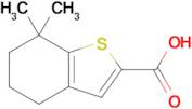 7,7-Dimethyl-4,5,6,7-tetrahydro-1-benzothiophene-2-carboxylic acid