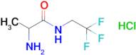 2-Amino-n-(2,2,2-trifluoroethyl)propanamide hydrochloride