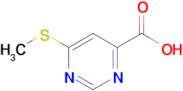 6-(Methylsulfanyl)pyrimidine-4-carboxylic acid