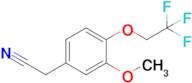 2-[3-methoxy-4-(2,2,2-trifluoroethoxy)phenyl]acetonitrile