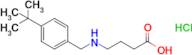 4-{[(4-tert-butylphenyl)methyl]amino}butanoic acid hydrochloride