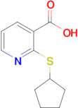 2-(Cyclopentylsulfanyl)pyridine-3-carboxylic acid