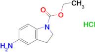 Ethyl 5-amino-2,3-dihydro-1h-indole-1-carboxylate hydrochloride