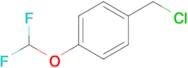 1-(Chloromethyl)-4-(difluoromethoxy)benzene