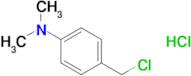 4-(Chloromethyl)-n,n-dimethylaniline hydrochloride