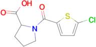 1-(5-Chlorothiophene-2-carbonyl)pyrrolidine-2-carboxylic acid