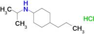 n-(Propan-2-yl)-4-propylcyclohexan-1-amine hydrochloride