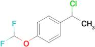 1-(1-Chloroethyl)-4-(difluoromethoxy)benzene