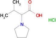 3-Methyl-2-(pyrrolidin-1-yl)butanoic acid hydrochloride