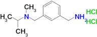 (3-{[methyl(propan-2-yl)amino]methyl}phenyl)methanamine dihydrochloride