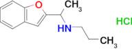 [1-(1-benzofuran-2-yl)ethyl](propyl)amine hydrochloride