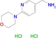 [6-(morpholin-4-yl)pyridin-3-yl]methanamine dihydrochloride