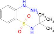 n-(Tert-butyl)-2-hydrazinylbenzenesulfonamide