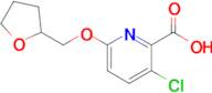 3-Chloro-6-(oxolan-2-ylmethoxy)pyridine-2-carboxylic acid