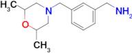 {3-[(2,6-dimethylmorpholin-4-yl)methyl]phenyl}methanamine