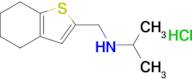 (Propan-2-yl)(4,5,6,7-tetrahydro-1-benzothiophen-2-ylmethyl)amine hydrochloride