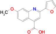 2-(Furan-2-yl)-7-methoxyquinoline-4-carboxylic acid