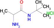 2-Amino-n-tert-butylpropanamide hydrochloride