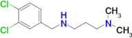 [(3,4-dichlorophenyl)methyl][3-(dimethylamino)propyl]amine