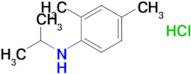 2,4-Dimethyl-n-(propan-2-yl)aniline hydrochloride