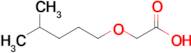 2-[(4-methylpentyl)oxy]acetic acid