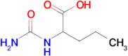 2-(Carbamoylamino)pentanoic acid