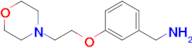 {3-[2-(morpholin-4-yl)ethoxy]phenyl}methanamine