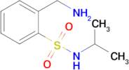 2-(Aminomethyl)-n-(propan-2-yl)benzene-1-sulfonamide