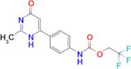 2,2,2-trifluoroethyl N-[4-(2-methyl-6-oxo-3,6-dihydropyrimidin-4-yl)phenyl]carbamate