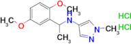 n-[1-(2,5-dimethoxyphenyl)ethyl]-1-methyl-1h-pyrazol-4-amine dihydrochloride