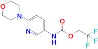 2,2,2-Trifluoroethyl n-[6-(morpholin-4-yl)pyridin-3-yl]carbamate