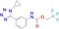 2,2,2-Trifluoroethyl n-[3-(1-cyclopropyl-1h-1,2,3,4-tetrazol-5-yl)phenyl]carbamate