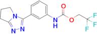 2,2,2-Trifluoroethyl n-(3-{5h,6h,7h-pyrrolo[2,1-c][1,2,4]triazol-3-yl}phenyl)carbamate