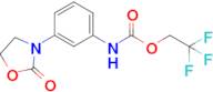 2,2,2-Trifluoroethyl n-[3-(2-oxo-1,3-oxazolidin-3-yl)phenyl]carbamate
