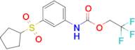 2,2,2-Trifluoroethyl n-[3-(cyclopentanesulfonyl)phenyl]carbamate