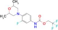 2,2,2-Trifluoroethyl n-[4-(2,6-dimethylmorpholin-4-yl)-3-fluorophenyl]carbamate