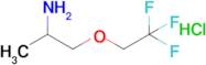 1-(2,2,2-Trifluoroethoxy)propan-2-amine hydrochloride