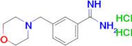 3-(Morpholin-4-ylmethyl)benzene-1-carboximidamide dihydrochloride