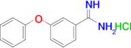 3-Phenoxybenzene-1-carboximidamide hydrochloride