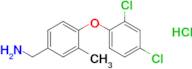 [4-(2,4-dichlorophenoxy)-3-methylphenyl]methanamine hydrochloride