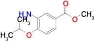 Methyl 3-amino-4-(propan-2-yloxy)benzoate