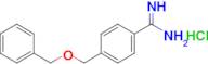 4-[(benzyloxy)methyl]benzene-1-carboximidamide hydrochloride