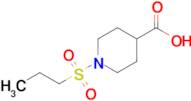 1-(Propane-1-sulfonyl)piperidine-4-carboxylic acid