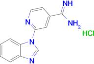 2-(1h-1,3-Benzodiazol-1-yl)pyridine-4-carboximidamide hydrochloride