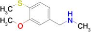 {[3-methoxy-4-(methylsulfanyl)phenyl]methyl}(methyl)amine