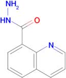 Quinoline-8-carbohydrazide