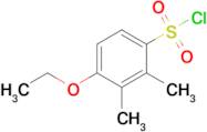 4-Ethoxy-2,3-dimethylbenzene-1-sulfonyl chloride