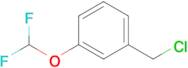 1-(Chloromethyl)-3-(difluoromethoxy)benzene