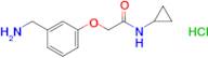 2-[3-(aminomethyl)phenoxy]-n-cyclopropylacetamide hydrochloride